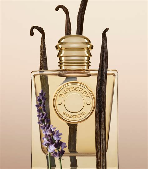 burberry goddess eau de parfum fragrantica|where to buy burberry perfume.